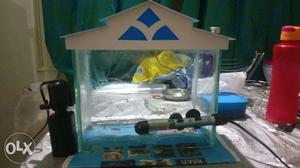 New fish tank house type (15days old)with