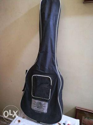 Pluto Guitar small (with cover)