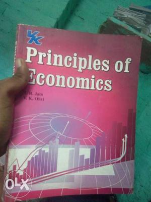 Principles of economics  edition