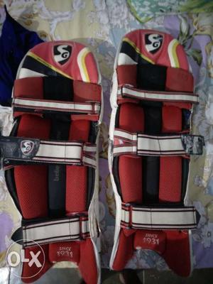 Sg test batting pads 4 year old