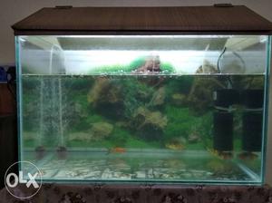 1 months used tank very durable length (2ft)