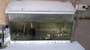 1/5 fish tank with water and very good condition
