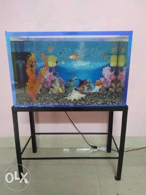 2 feet aquarium with all equipments and stand