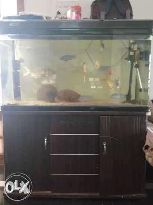 4"feet imported aquarium with stand and with fishes for sale