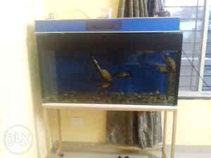4ft lenght tank 2ft hight 1.5ftwidth with table,