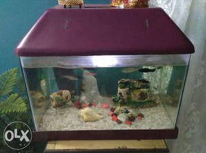 Almost look new 2 feet wide aquarium without fish
