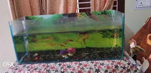 Aquariam for sell 3ft×1.3ft no leakage with