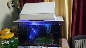 Aquarium for sale,size  (inch) only