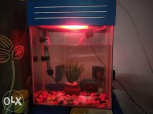 Aquarium tank 1.5 feet with new heater & new