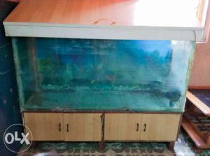 Big Aquarium with cupboard (6×4ft) approx.