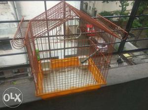 Bird cage with 2kg food urgent sell