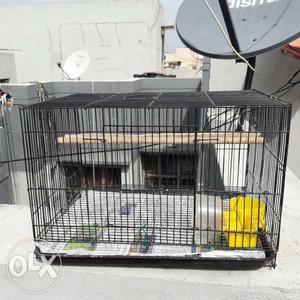 Birds cage good condition.. 5 months used