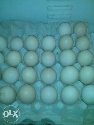 Desi egg trey 450