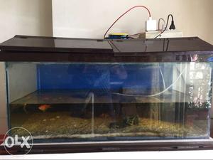 Fish Tank good in condition, along with acrylic hood and