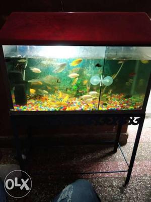 Fish aquariums with stand only 2.5 feet