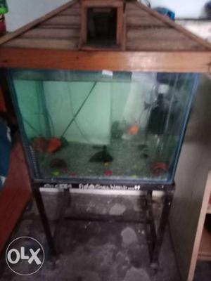 Fish tank in awsm condition with white gravel