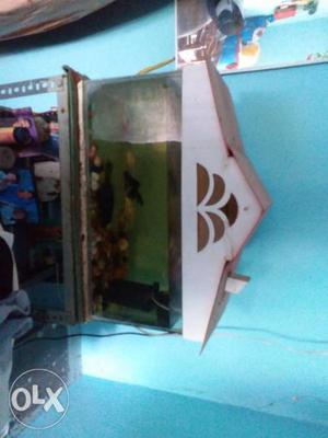 Fish tank with fish& motor