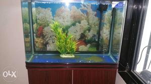 Imported fish tank 2 month old with cabinate stand