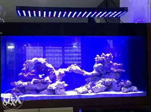 Marine aquarium's led lights with wifi control