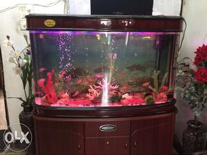 Moulded imported 4 feet aquarium without fishes