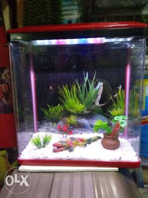 New fish aquarium available all size available