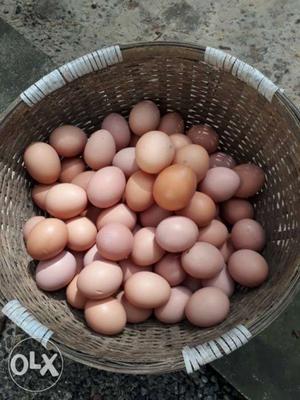 Organic chicken eggs bv380 price rs.6 per egg