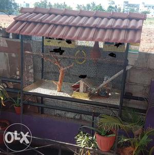 Pet cage for sale 4ft width x 3.5 ft Height x 2ft Depth