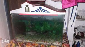 Rectangular White And Brown Top Framed Fish Tank