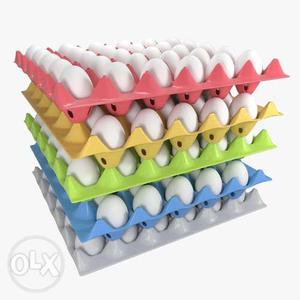 White Egg Lot With Trays