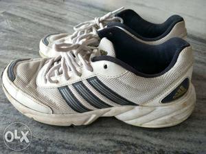 Adidas shoe 2 years old