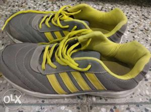 Pair Of Gray-Yellow strips Running Shoes.Very good