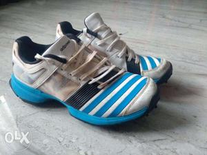 Addidas Cricket Shoes