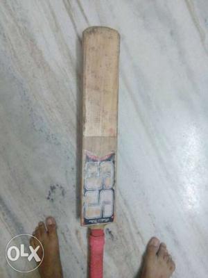 Brown, Red, And Black SS Cricket Bat