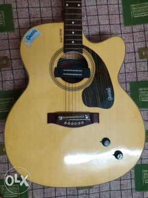 Givson Venus Rose guitar with cover