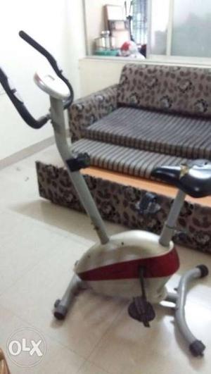 Proline Magnum Gym Cycle in working condition