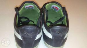 Puma Shoes Brand New And Unused Size 8. Mrp 
