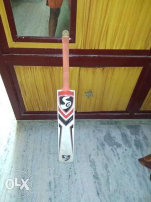 Red, White, And Black Cricket Bat