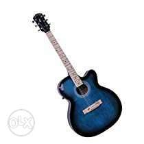 Signature Musicals Acoustic Guitars With Gig Cover (Blue)