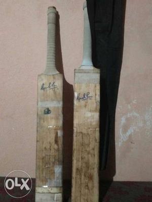 Two English willow Cricket bat