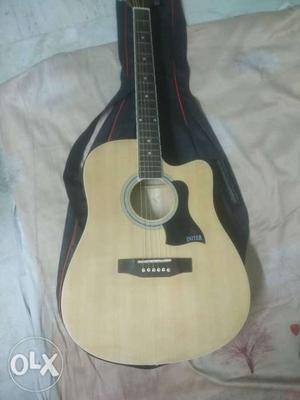Wilson/Initer Custom Electro Acoustic Guitar