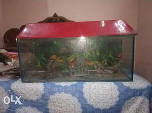 3feet aquarium with stones