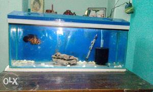 3ft by 8 5 inch height 12 inch aquarium with