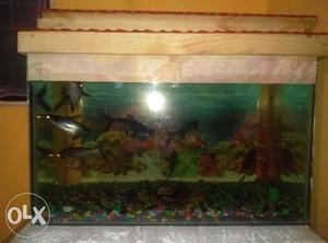 4month old Fish tank with fish & stones.. tank