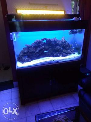 4x1.5x2 ft aquarium with LED light of RS./-,
