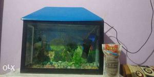 Aquarium 2 years old with 2 fish and fish food