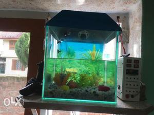 Aquarium Fish Tank For Sale Size 1 cubic feet