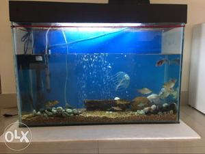 Aquarium tank for sale. 3x2x1.2