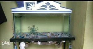 Aquarium with stand and top cover