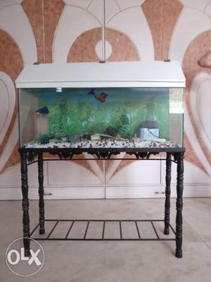 Aquarium with stone and stand. no fish