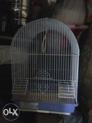 Bird new cage
